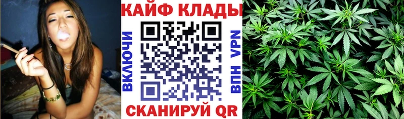 Где купить наркоту Лесозаводск АМФЕТАМИН  A-PVP  МАРИХУАНА  hydra зеркало  КОКАИН  Мефедрон 