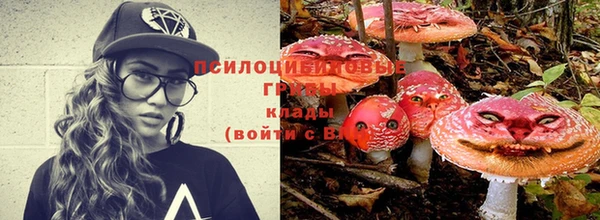 spice Балахна
