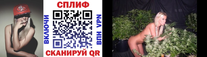 Каннабис гибрид  Лесозаводск 